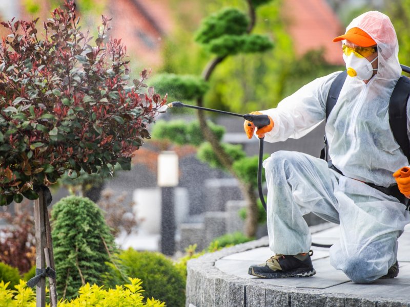 Sarıcakaya Haşere İlaçlama